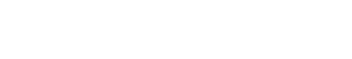 Bluemetrica Digital Agency